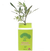 Petit plant d'olivier en cube carton imprimé fabriqué en 🇫🇷