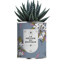 Aloé vera en pot métal personnalisable - Le Cadeau Français