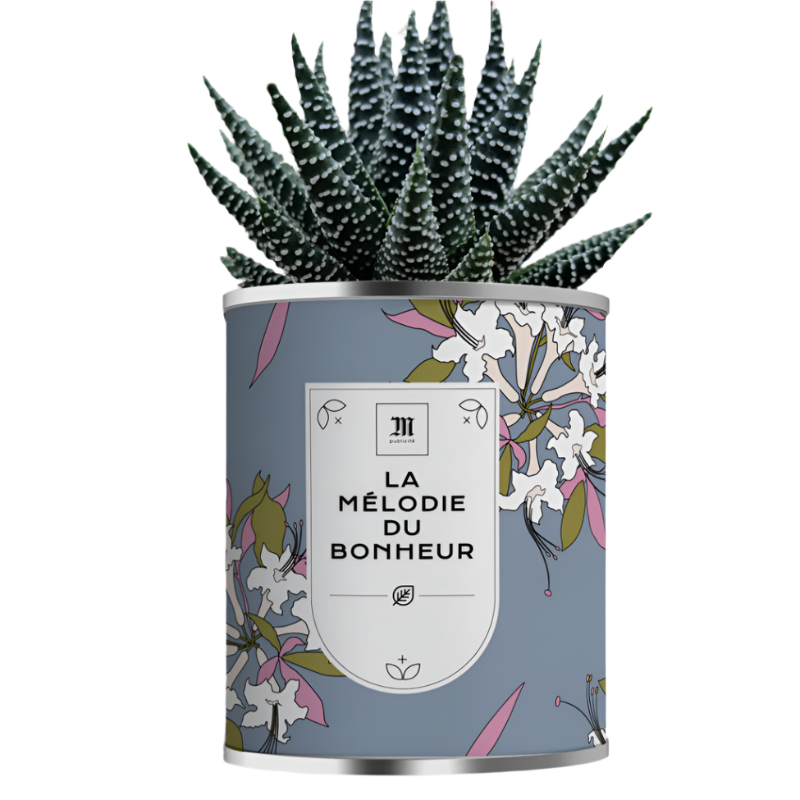 Aloé vera en pot métal personnalisable - Le Cadeau Français