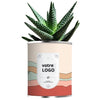 Aloé vera ou cactus en pot métal personnalisable