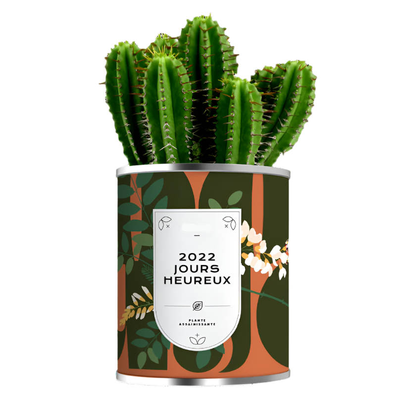 Cactus en pot métal personnalisable - Le cadeau Français
