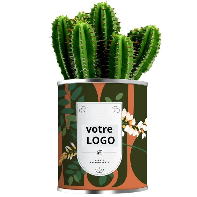 Aloé vera ou cactus en pot métal personnalisable