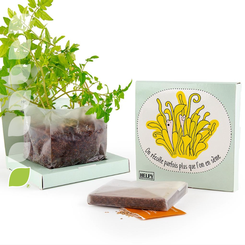 Kit de plantation avec graines à semer coco box personnalisé fabrication France 🇫🇷