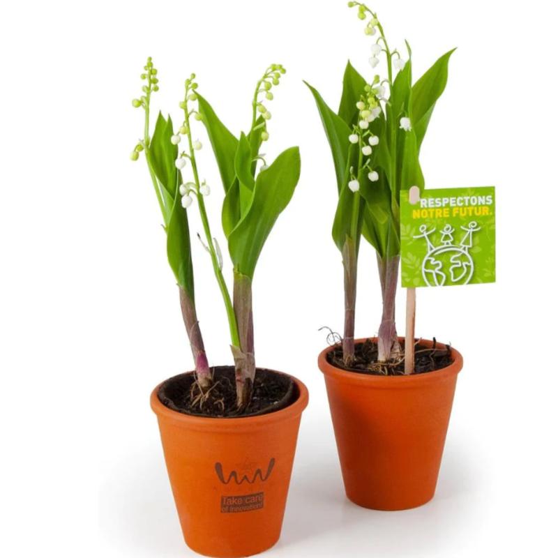Muguet en pot personnalisé