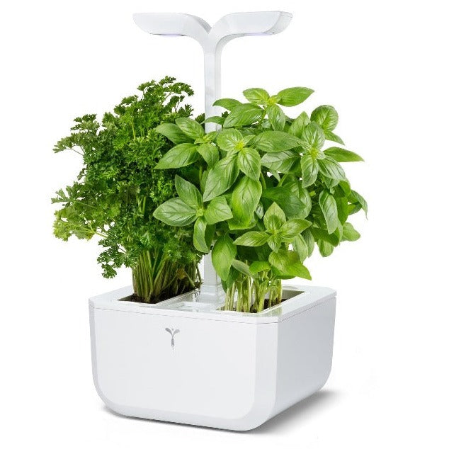 Potager d'intérieur Autonome Véritable EXKY Classic - Le Cadeau Français