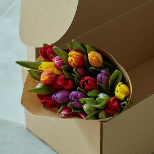 Bouquet de 10 tulipes coloris au choix