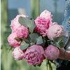 Bouquet Piprenelle Small fabriqué en 🇫🇷