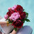 Bouquet Capucine Small