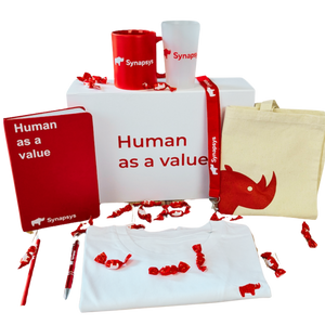 Kit_de_bienvenue_personnalis_SYNAPSYS_01.png