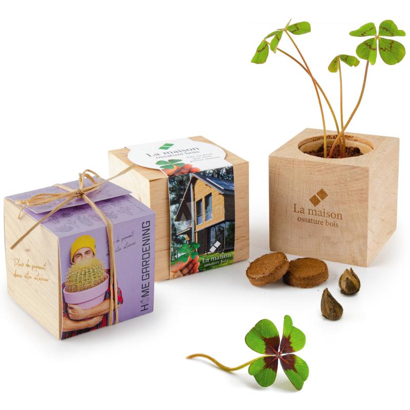 Kit de plantation cube en bois devenant un pot à crayons personnalisé