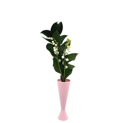 Brins de muguet en pipette 🇫🇷