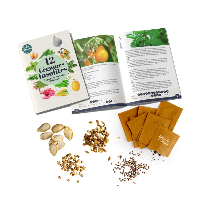 Coffret de 12 légumes insolites Radis et Capucine® fabrication France 🇫🇷