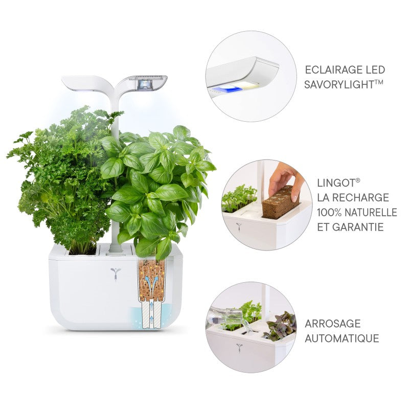 Potager d'intérieur Autonome Véritable EXKY Classic - Le Cadeau Français