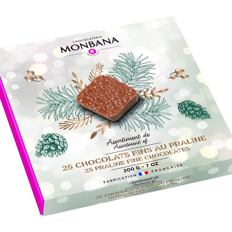 Coffret de chocolats fins fourrés praliné