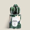 Plante (cactus ou aloé) personnalisable