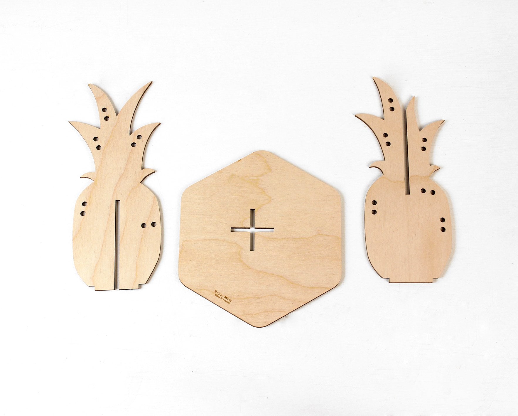 Plante à bijoux Ananas Reine Mère®