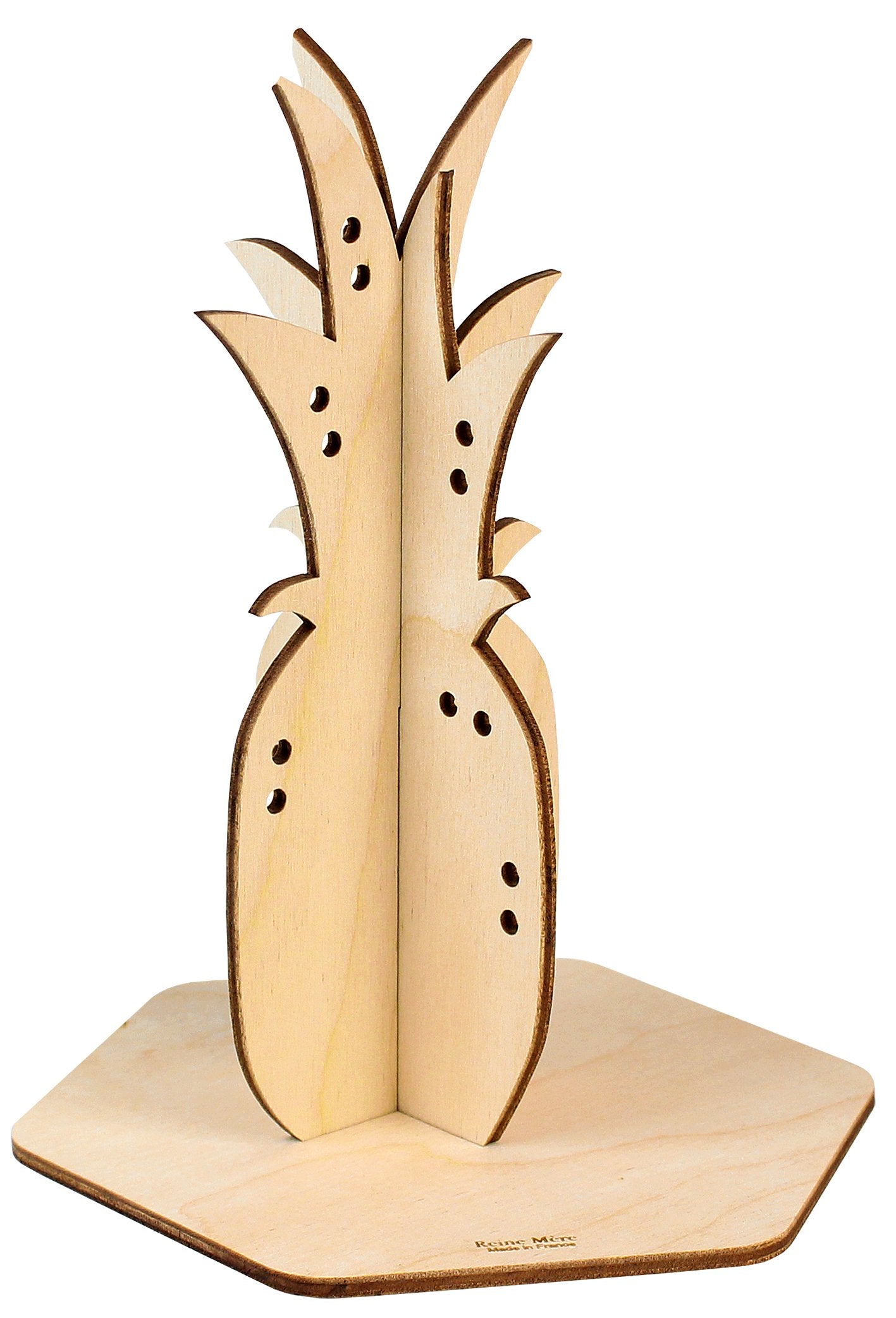 Plante à bijoux Ananas Reine Mère®