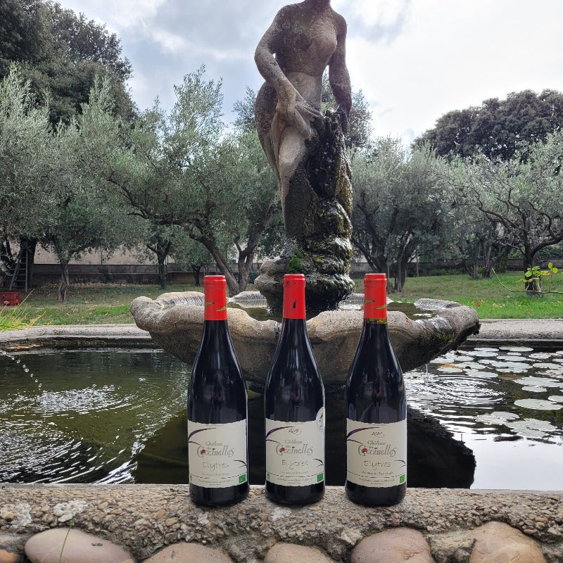 Coffret de Côtes du Rhône BIO Château des Coccinelles®