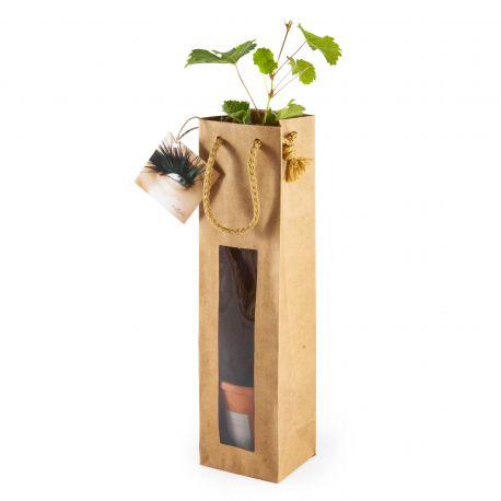 Cep de vigne en pot terre cuite et sac kraft prestige brun personnalisé
