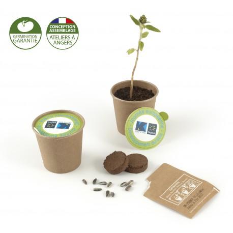 Gobelet en carton avec graines - Kit de plantation personnalisé