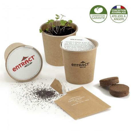 Gobelet en carton avec graines - Kit de plantation personnalisé