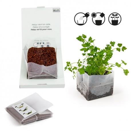 Kit de plantation Carré coco box avec graines a semer personnalisé