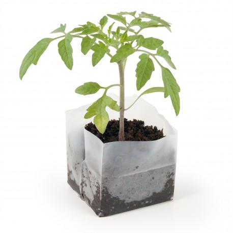 Kit de plantation Carré coco box avec graines a semer personnalisé