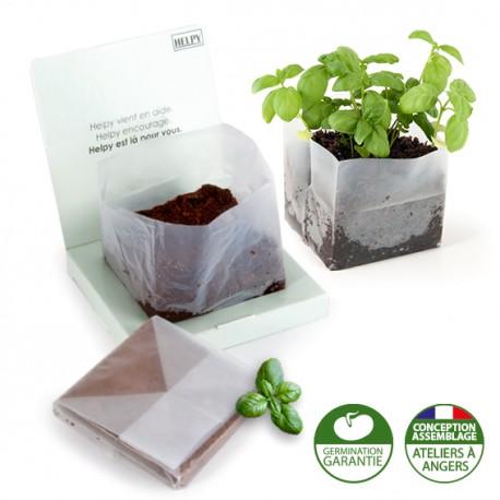 Kit de plantation Carré coco box avec graines a semer personnalisé