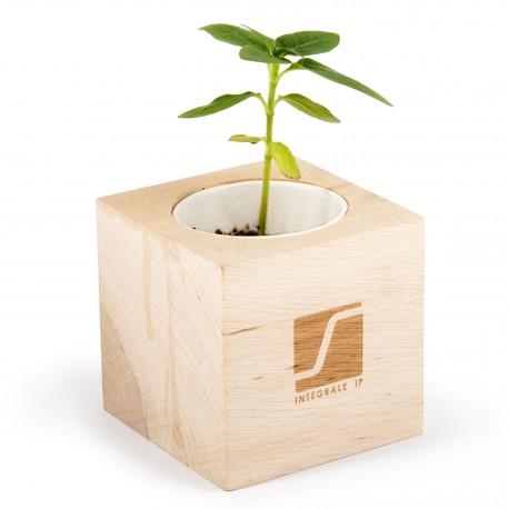 Kit de plantation cube en bois devenant un pot à crayons