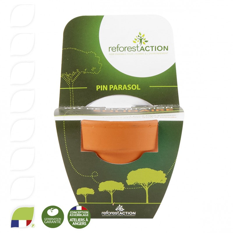 Kit de plantation terre cuite 70 mm avec graines à faire pousser modèle avec fronton personnalisé