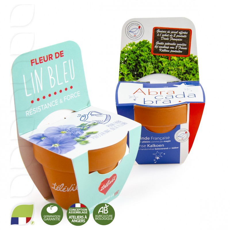 Kit de plantation terre cuite 70 mm avec graines à faire pousser modèle avec fronton personnalisé