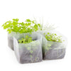 Mini potager 4 aromates Bio Radis et Capucine®