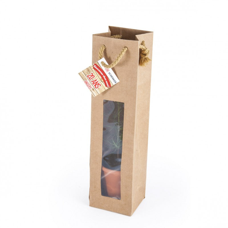Petit plant de pin en pot terre et sac kraft brun personnalisé