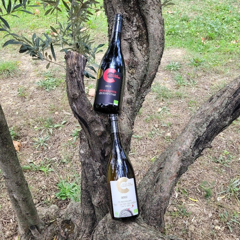 Coffret de Côtes du Rhône BIO Château des Coccinelles®