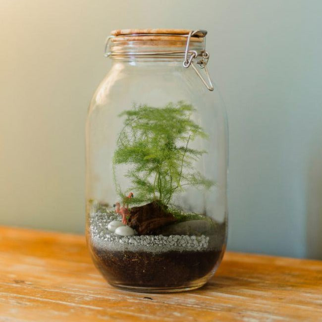 Terrarium à assembler soit-même Radis et Capucine®