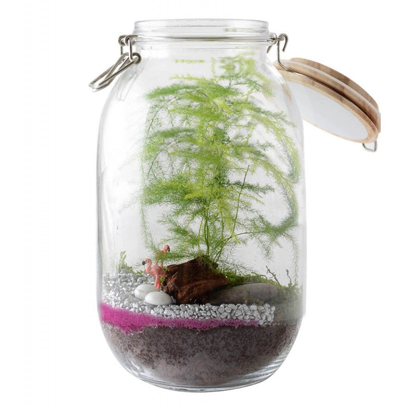 Terrarium à assembler soit-même Radis et Capucine®