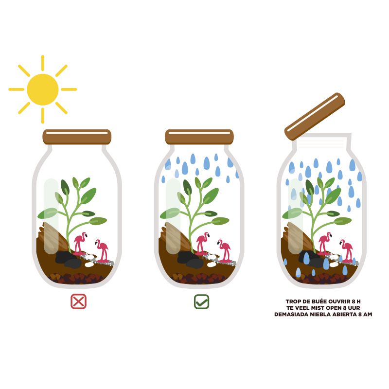 Terrarium à assembler soit-même Radis et Capucine®