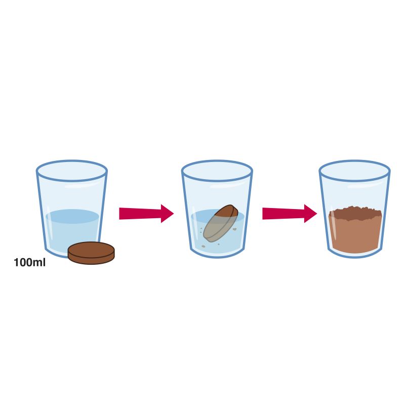 Terrarium à assembler soit-même Radis et Capucine®