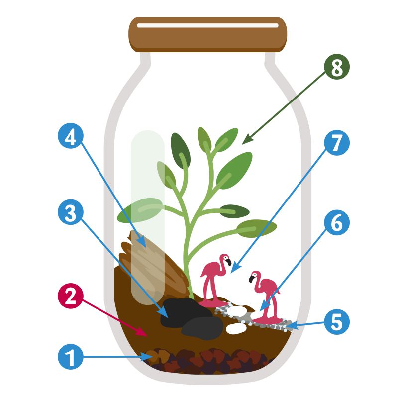 Terrarium à assembler soit-même Radis et Capucine®